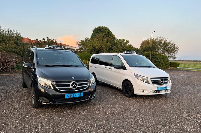 Exclusive Private Keukenhof and Tulip Fields Tour - Tour Highlights