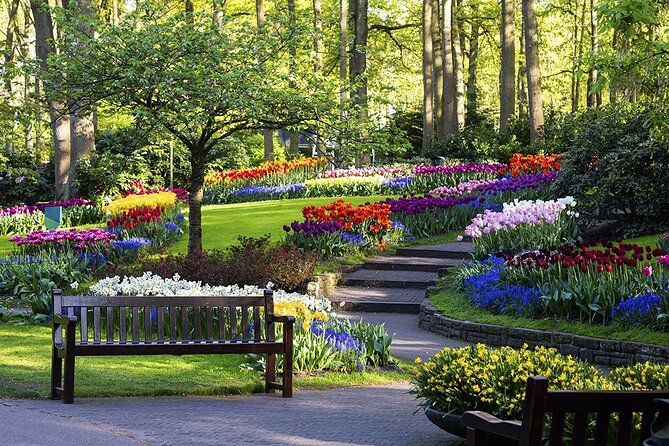 Exclusive Private Keukenhof and Tulip Fields Tour - Private Tour Guide
