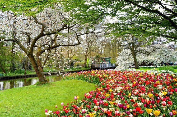 Exclusive Private Keukenhof and Tulip Fields Tour - Inclusions and Exclusions