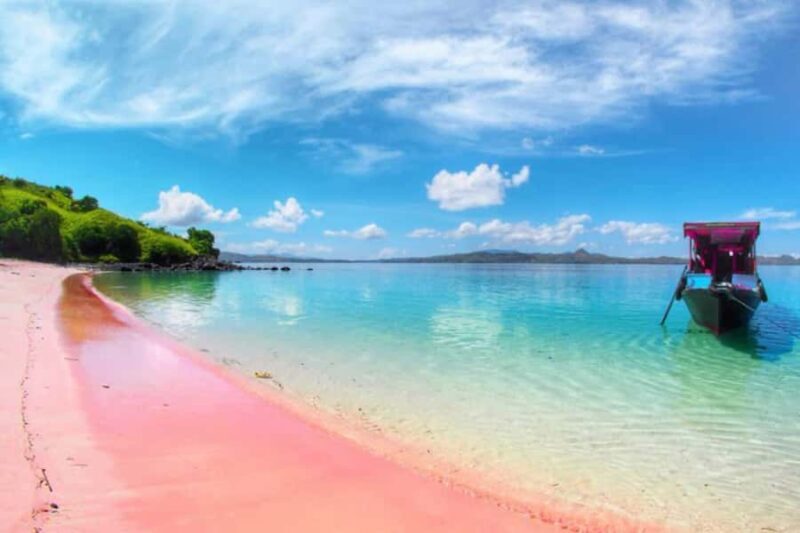 Exclusive Private Pink Beach with Snorkeling Tour - Good To Know