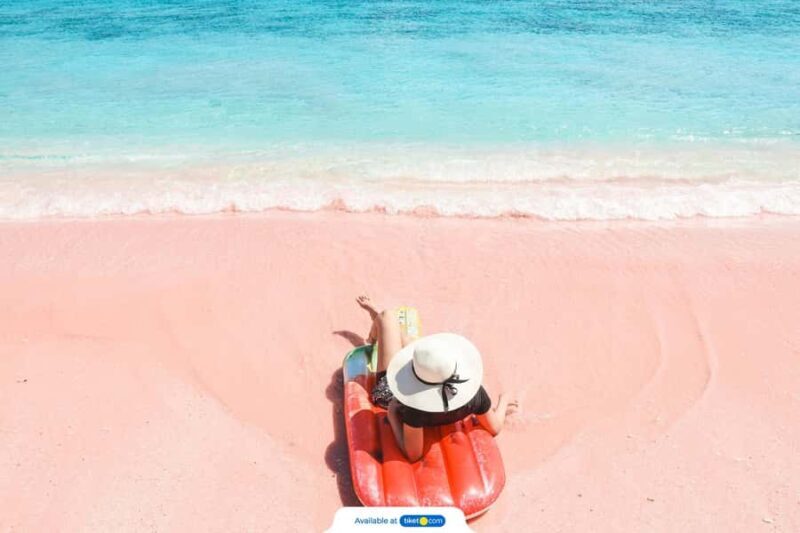 Exclusive Private Pink Beach with Snorkeling Tour - Who Would Love This Tour?