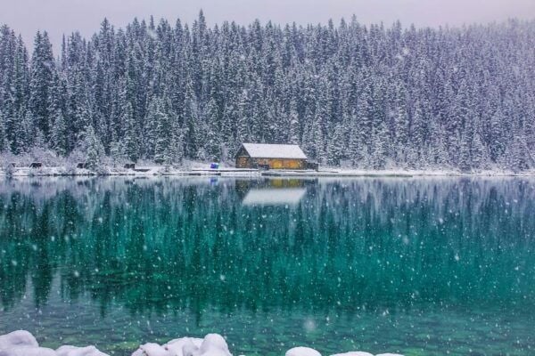 Exclusive Private Shuttle: YYC Airport and Calgary Transfers - Contact Information