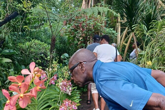 Exclusive Private Tour by a Singaporean Guide - Why Choose a Private Guided Tour in Singapore?