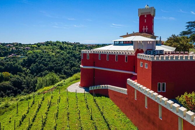 Exclusive Provence Wine Tour-Private Day for 2-3 People From Nice - Tour Type: Exclusive Provence Wine Tour