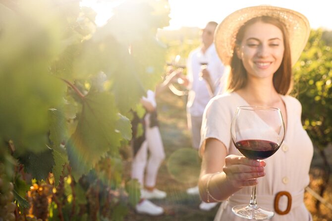 Exclusive Provence Wine Tour-Private Day for 2-3 People From Nice - Group Size: 2-3 People