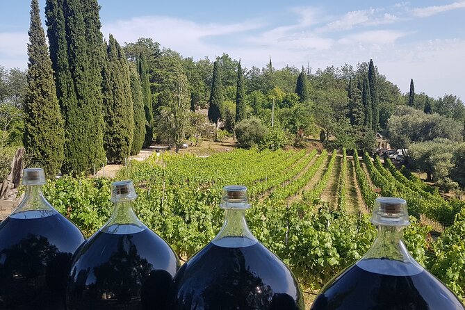 Exclusive Provence Wine Tour-Private Day for 2-3 People From Nice - Departure Location: Nice