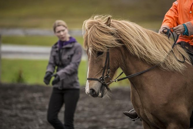 Exclusive Riding Program for Advanced Horse Riders - Give Me 5! - 2 to 3 Hours - Admission and Group Size