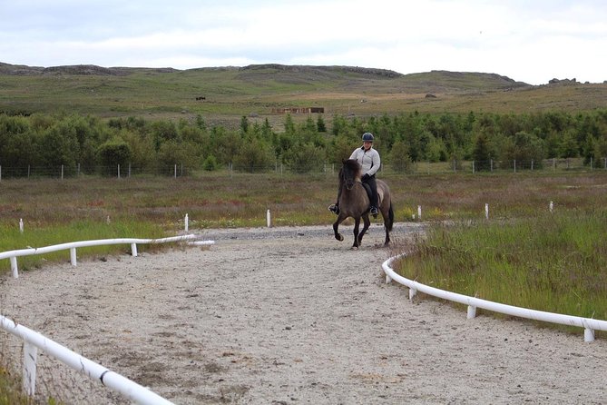 Exclusive Riding Program for Advanced Horse Riders - Give Me 5! - 2 to 3 Hours - Common Questions