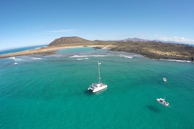 Exclusive Sailing Catamaran Experience to Lobos Island With Lunch and Drinks - What to Expect During the Experience