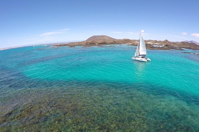 Exclusive Sailing Catamaran Experience to Lobos Island With Lunch and Drinks - Pricing, Booking, and Customer Reviews