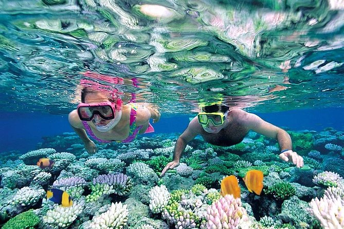 Exclusive Sailing Isla Mujeres. Top Tour ! ( No Hidden Fees) - Additional Information