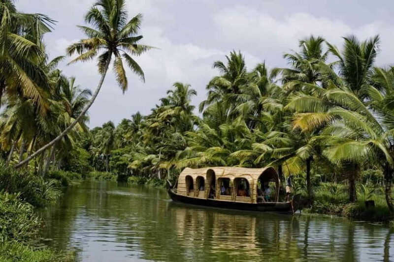 Exclusive Same Day Kerala Houseboat Cruise Tour in Alleppey - An In-Depth Look at the Kerala Houseboat Experience