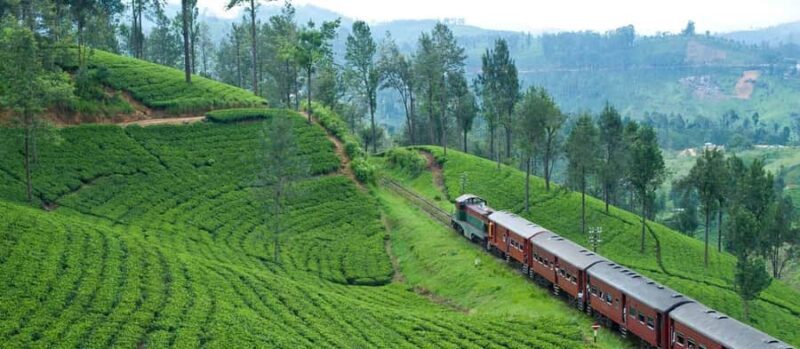 Exclusive: Scenic Train Ride & Horton Plains Private Tour - Good To Know
