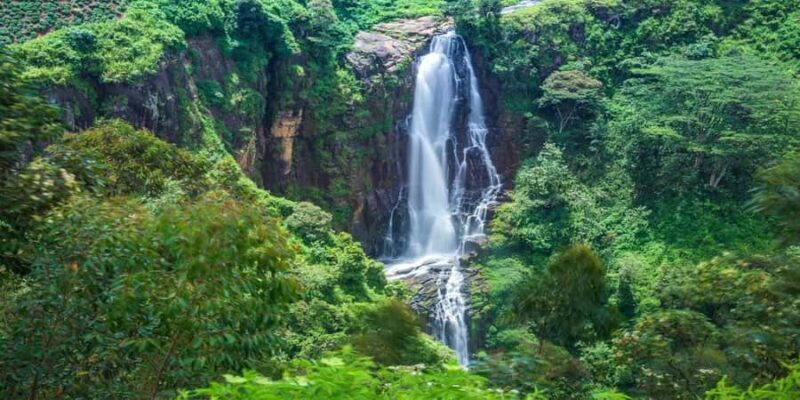 Exclusive: Scenic Train Ride & Horton Plains Private Tour - A Comprehensive Look at the Experience