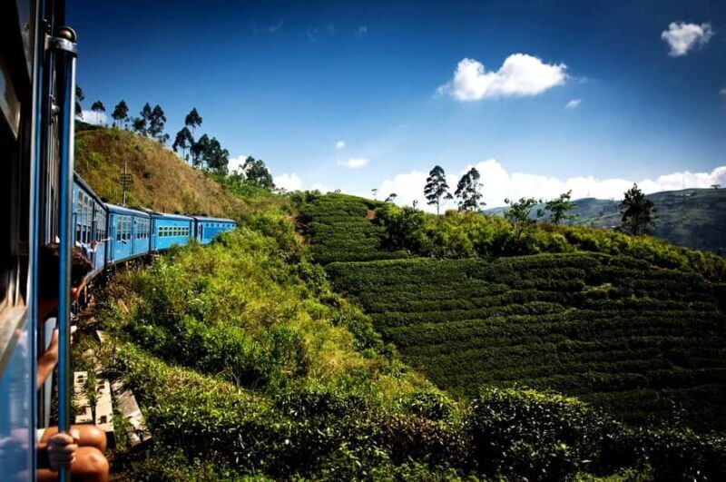 Exclusive: Scenic Train Ride & Horton Plains Private Tour - In-Depth Review of the Horton Plains Private Tour