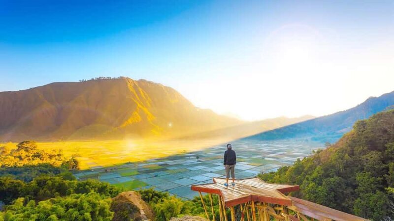 Exclusive Sembalun One-Day Tour: Nature and Scenic Wonders - Introduction: What Makes This Tour Stand Out?