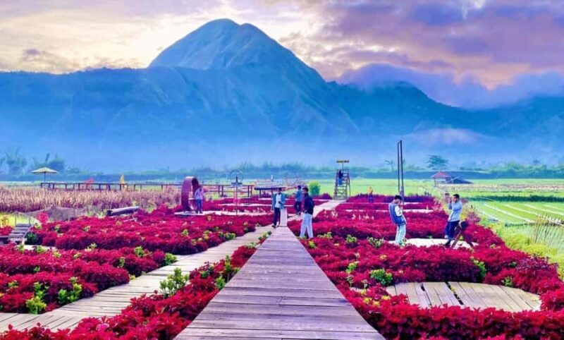 Exclusive Sembalun One-Day Tour: Nature and Scenic Wonders - The Experience’s Value