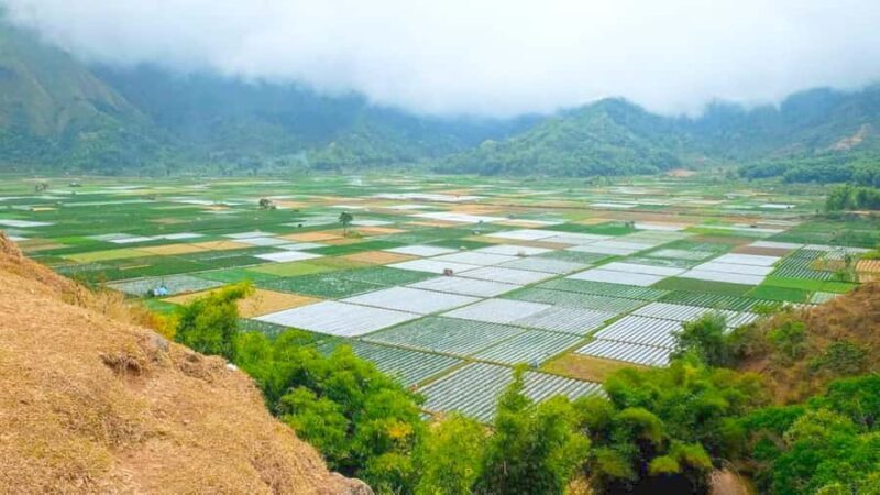 Exclusive Sembalun One-Day Tour: Nature and Scenic Wonders - The Sum Up: Who Will Love This Tour?