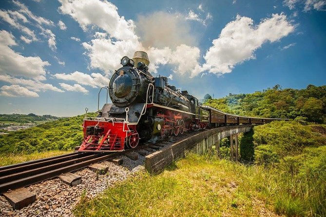 Exclusive Services: Maria Fumaça Railway Adventure Await - Private Transfer and Services
