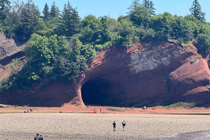 Exclusive Sightseeing Tour in Saint John - Good To Know