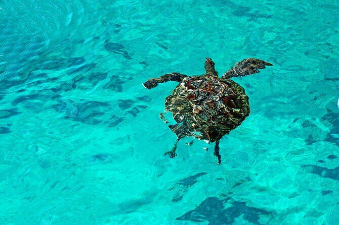 Exclusive Similan Island by Speed Boat - Final Thoughts