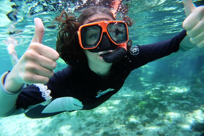 Exclusive Small Group VIP Heated Manatee Snorkel Tour - Negative Experience With Viator
