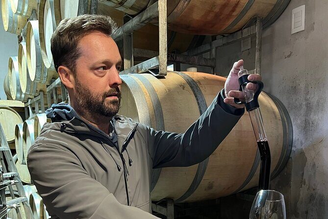 Exclusive Small Group Virginia Winery Tour with a Sommelier - The Sum Up