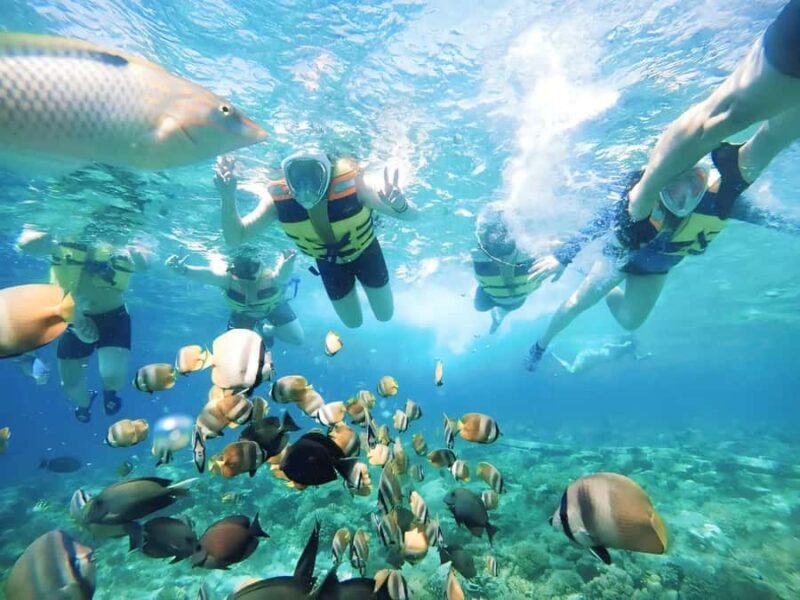 Exclusive Snorkeling Tour to Lombok's Pink Beach and 3 Gilis - Exploring Pink Beaches