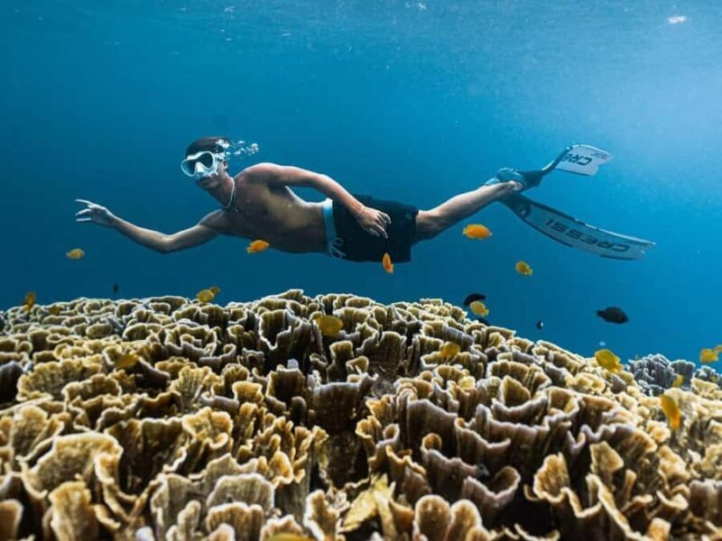 Exclusive Snorkeling Tour to Lombok's Pink Beach and 3 Gilis - Detailed Itinerary Breakdown