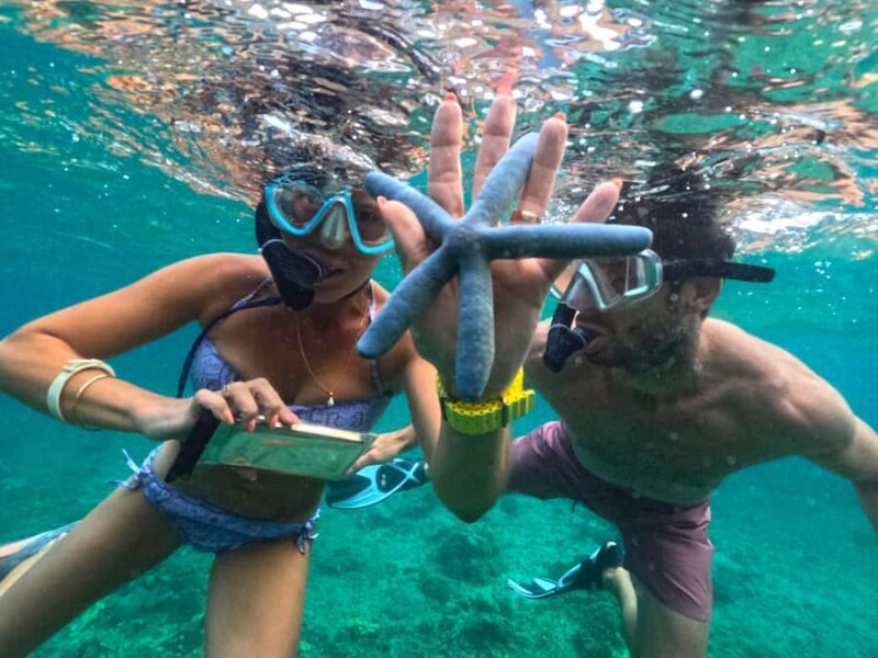 Exclusive Snorkeling Tour to Lombok's Pink Beach and 3 Gilis - The Sum Up