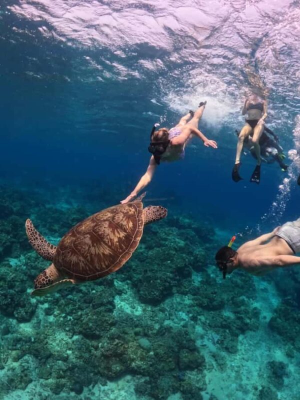 Exclusive Snorkeling trip Gili Terawangan Meno and Air - FAQs about the Gili Snorkeling Trip  