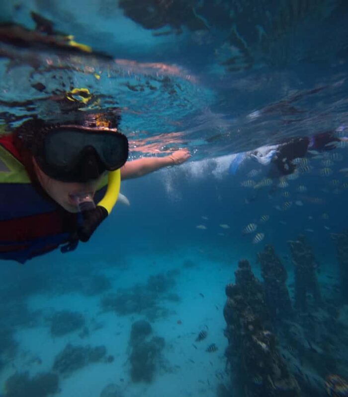 Exclusive Snorkeling trip Gili Terawangan Meno and Air - Good To Know
