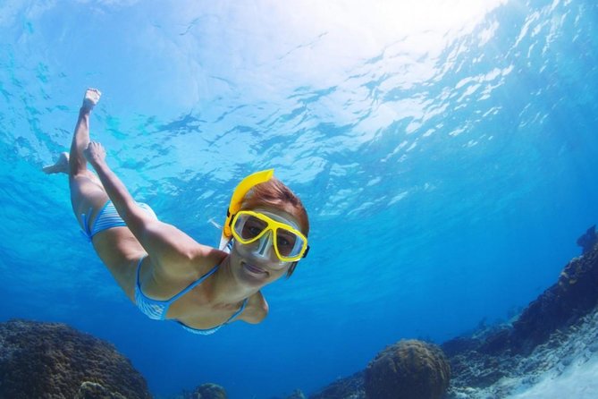 Exclusive Snorkeling Trip Guided by Marine Biology Specialist - Cancellation Policy