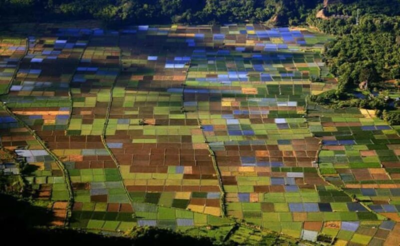 Exclusive Soft Hiking: 2-Day Pergasingan Hill Adventure - Deep Dive: The Real Value