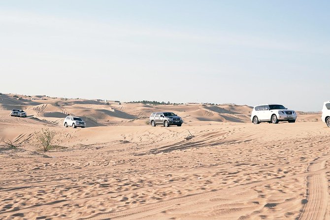 Exclusive Sunrise Desert Safari With Camel Ride Sand Boarding Dune Bashing - Enjoy Refreshments Throughout Your Journey