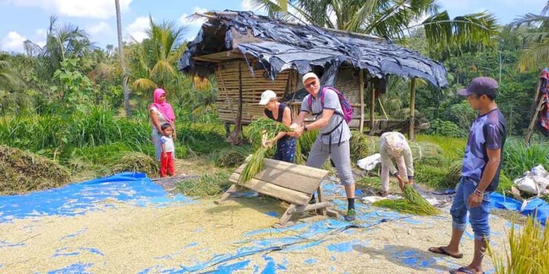Exclusive Tetebatu: Waterfall, Rice Fields, Monkey & Weaving - A Deep Dive into the Tour Experience