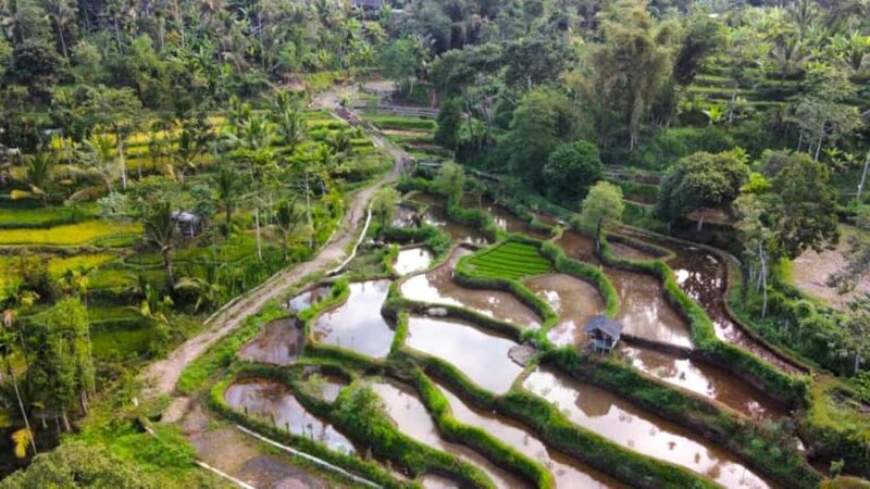 Exclusive Tetebatu: Waterfall, Rice Fields, Monkey & Weaving - Good To Know