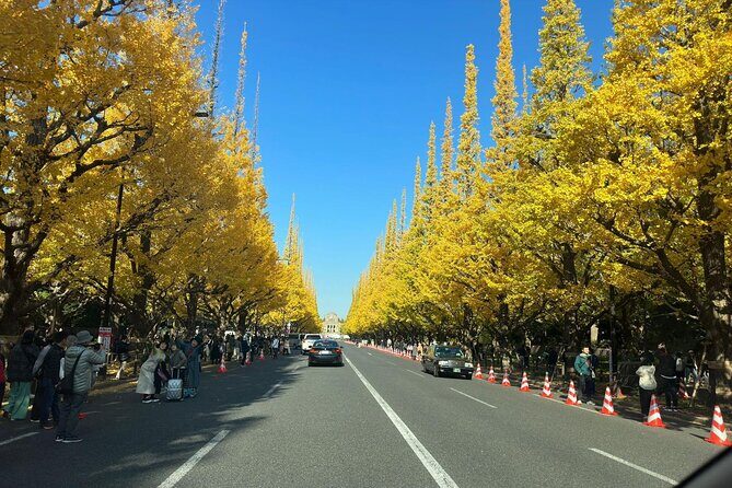 Exclusive Tokyo City and Kawagoe City Private Day Tour - Final Thoughts