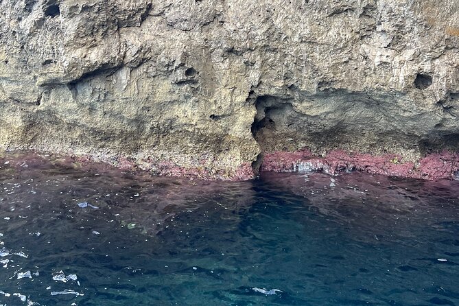 Exclusive Tour Favignana Levanzo - Booking Information