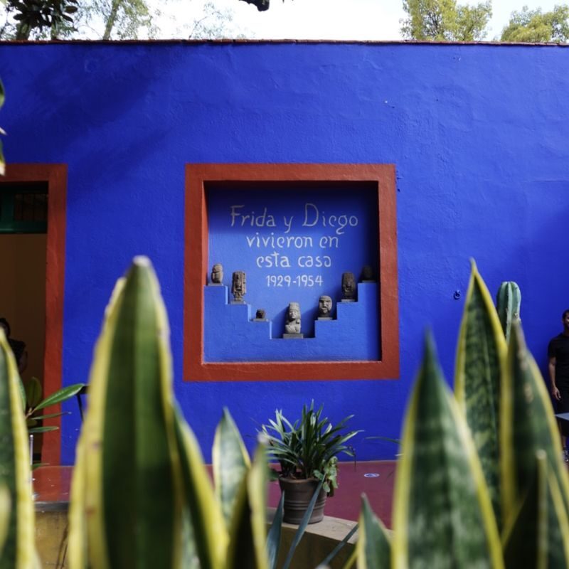 Exclusive Tour Frida Kahlo Museum - What happens during the two-hour visit