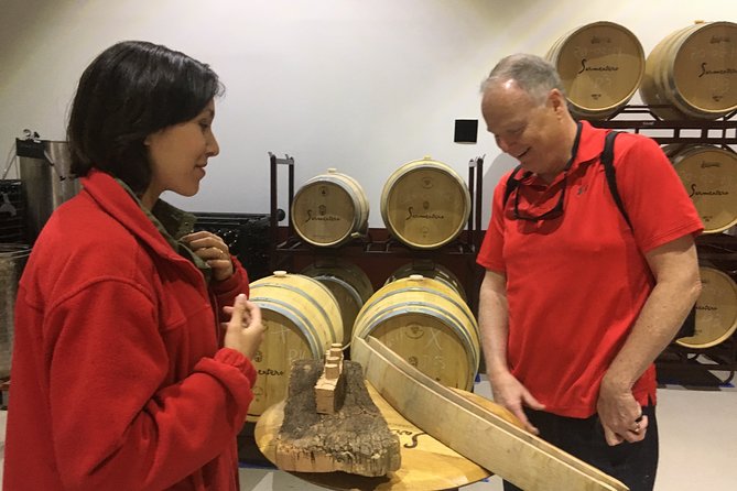 Exclusive Tour From Madrid: Ribera Del Duero "Like a Native", With Suckling Lamb - Wine Tasting Experience