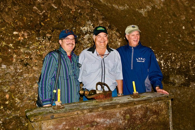 Exclusive Tour From Madrid: Ribera Del Duero "Like a Native", With Suckling Lamb - Booking and Pricing Information