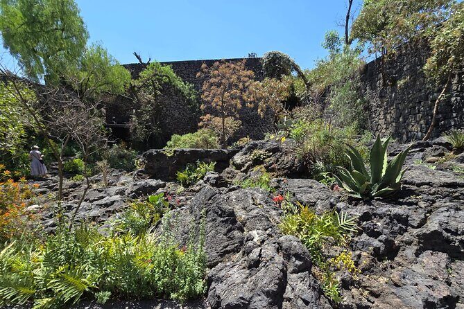 EXCLUSIVE TOUR Luis Barragán - Casa Pedregal - Who Will Love This Tour?