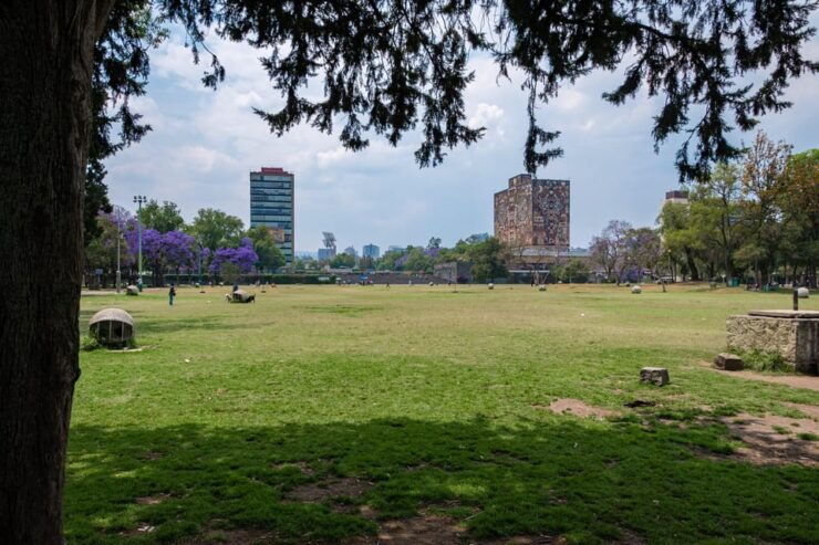 EXCLUSIVE TOUR: Murals & Stadium at Ciudad Universitaria - Good To Know