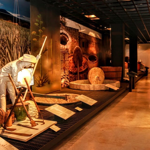 EXCLUSIVE TOUR Museum of Tequila and Mezcal - Small Groups - Good To Know
