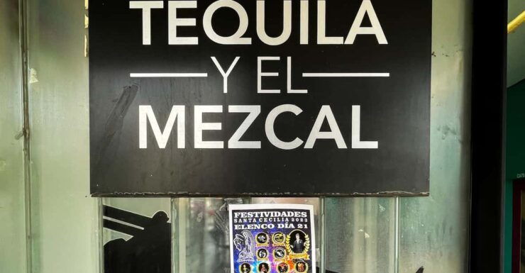 EXCLUSIVE TOUR Museum of Tequila and Mezcal - Small Groups - Experience Highlights