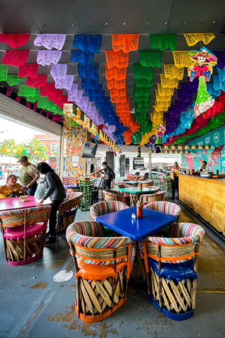 EXCLUSIVE TOUR Museum of Tequila and Mezcal - Small Groups - Itinerary Details