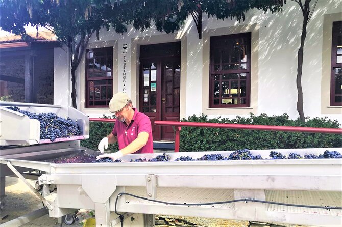 Exclusive Tour Porto-Douro Valley-Wine Tasting/Lunch/Boat Tour - Cancellation and Change Policy