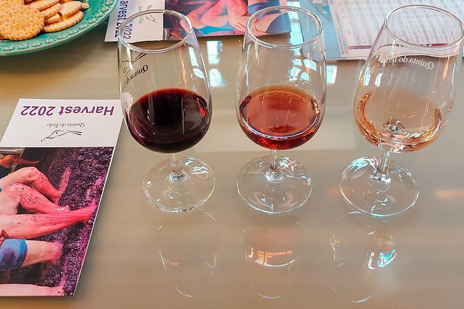 Exclusive Tour Porto-Douro Valley-Wine Tasting/Lunch/Boat Tour - Traveler Photos and Reviews