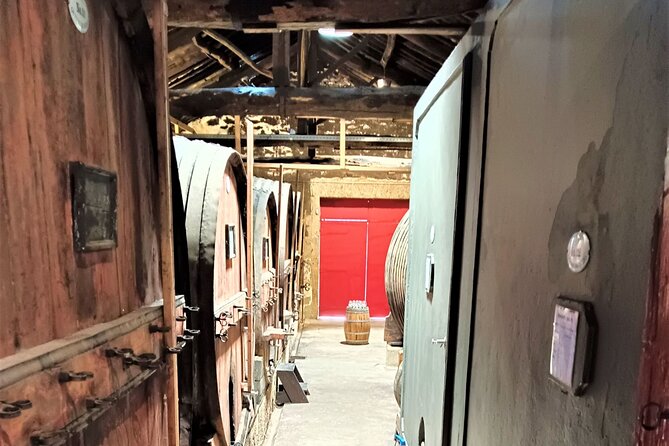 Exclusive Tour Porto-Douro Valley-Wine Tasting/Lunch/Boat Tour - Questions and Support